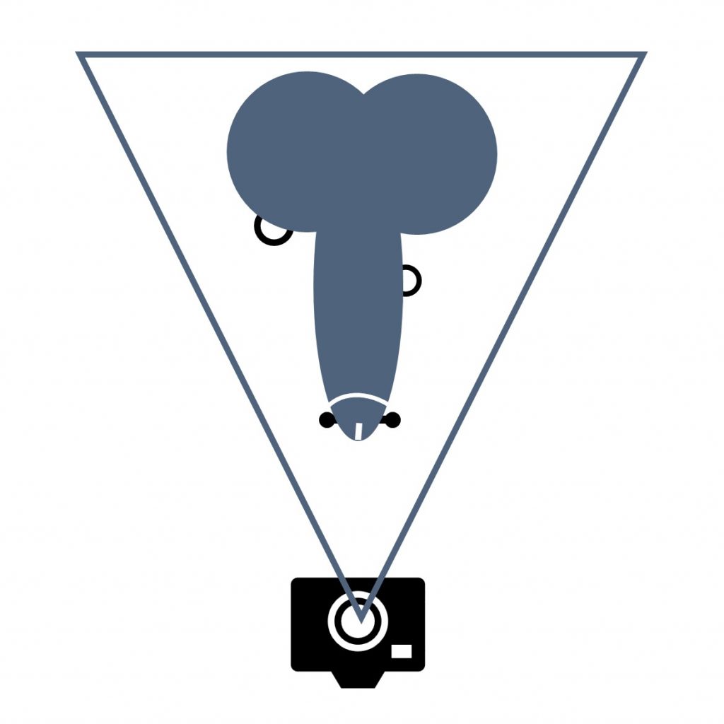 Piercing - Nahaufnahmen - Falls vorhanden